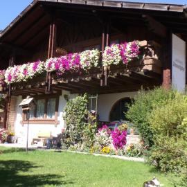 Landhaus Krinnenspitze, hotel a Nesselwängle