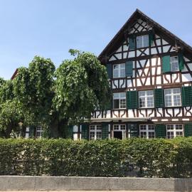 Gasthaus zum Goldenen Kreuz, מלון בRafz