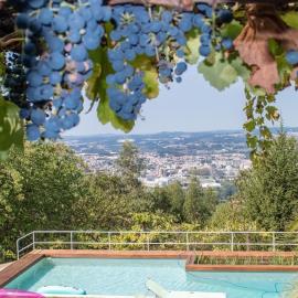 Quinta das Leiras, Hotel in Santo Tirso