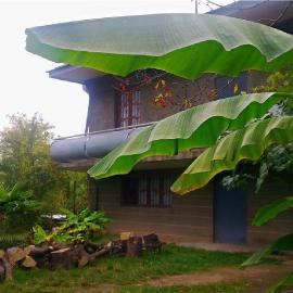 Farmer's Guest House, hotel a Telavi