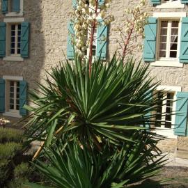 Domaine Saint Andrieu, hotel Greffeil városában