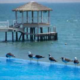 Apartamento Frente a Islas Ballestas – hotel w mieście Paracas