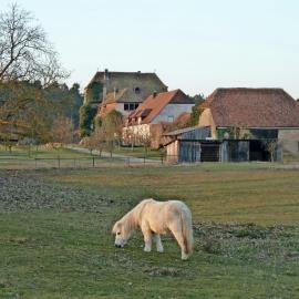 Elgersheimer Hof
