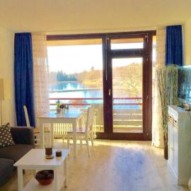 Seesicht Appartements am Kranichsee, hotel in Hahnenklee-Bockswiese