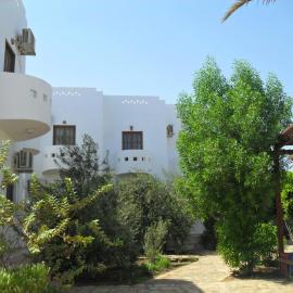 Alaska Camp & Hotel, hotel i Dahab