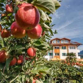 Landhaus Hotel Kristall, hôtel à Marlengo