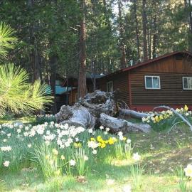 39 River Song, hotel in North Wawona