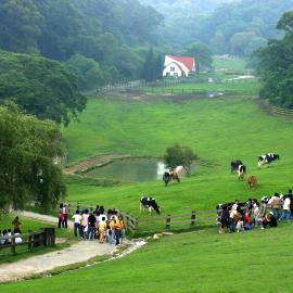 Flying Cow Ranch, khách sạn ở Tongxiao
