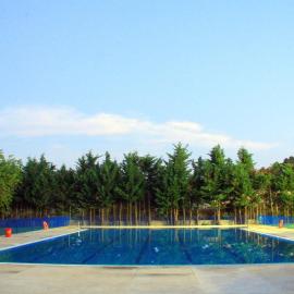 Camping Sierra de las Nieves、Yunqueraのホテル