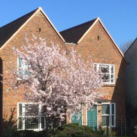 3 Summertown Court, hotel in Oxford