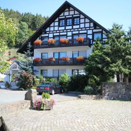 Haus Schnorbus, hotel u gradu Halenberg