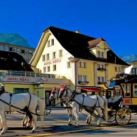 Hotel Höfli, hotel en Altdorf