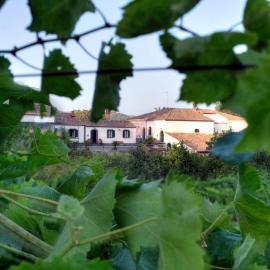 Casa Vacanze Etna, hotel in Piedimonte Etneo