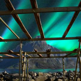 Dragon Villa Reine, hotel i Reine