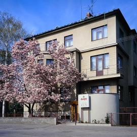 Hotel Lux