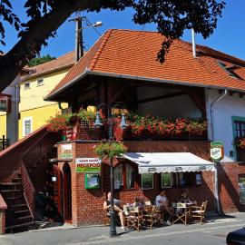 Vaskó Panzió Borpince, hotel in Tokaj