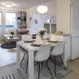 Vasko luxurious suites, Vasko، فندق في روفانييمي