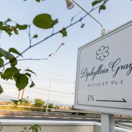 Hatsukaichi में, होटल Guest House Diphylleia Grayi