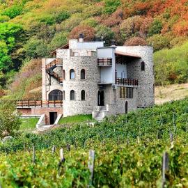 Babaneuris Marani: Babaneuri şehrinde bir otel