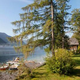 Exklusive Seeappartements beim Elfenhaus
