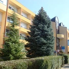 Hotel Napsugar, hotel in Hévíz