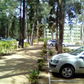 Departamento Bosques del Tabo, hotel in El Tabo