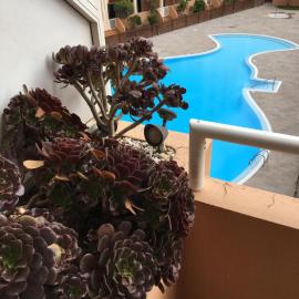 Medano Beach - MARINEDA - Pool View - 2