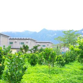Hotel Jajowan﻿, Hotel in Changbin