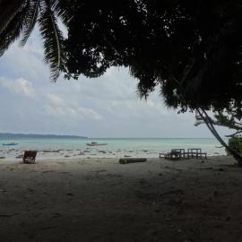 Gold India Beach Resort