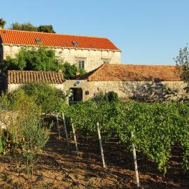 Villa Violić