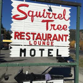 Squirrel Tree Resort، فندق في Merritt