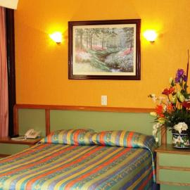 Segovia Regency, hotel en Ciudad de México