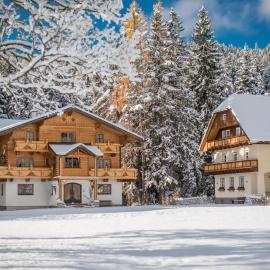 MEINE HEIMAT - Charming Mountain Apartments & Alpine Winter in SKI AMADE, ξενοδοχείο σε Ramsau am Dachstein