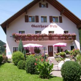 Gasthaus Zur Erle, hotel u gradu Zimonsvald