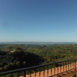 Alloggio Turistico Ciliegi in Fiore, hotel in Monte Libretti