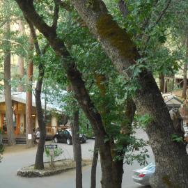 Yosemite Bug Rustic Mountain Resort, hotel i Midpines