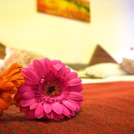 Astro Inn Hotel Express, hotel en Xalapa