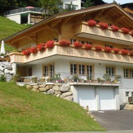 Oeystrasse 10a, Hotel in Adelboden