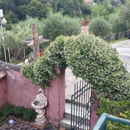 Le Donne di Bargecchia