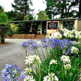 Blackheath Motor Inn, hotelli kohteessa Blackheath