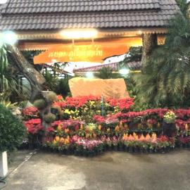 Phu Rua में, होटल Rayong Phurua Resort ระยองภูเรือรีสอร์ท