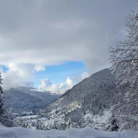 Gite de L'ours, hôtel à La Bresse