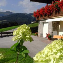 Appartement Schilcher