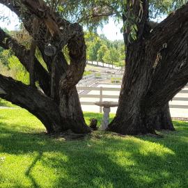Equestrian Farm Stay, hotel a One Tree Hill