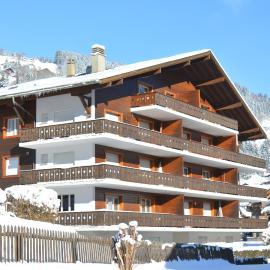 Apartment Champéry Grand Pré A، فندق في شامبري