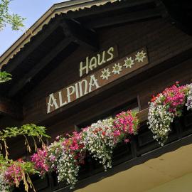 Haus Alpina, hotel v destinaci Häselgehr