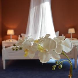 Hotel Shterev Sopot, hotel v mestu Sopot