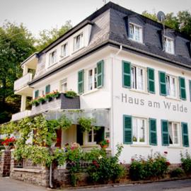 Pension "Haus am Walde" Brodenbach, Mosel, Hotel in Brodenbach