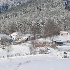 Dümpelhof Ferienwohnungen