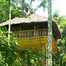 Kalidasa Tree House and Villa,Wayanad, hótel í Chegāt